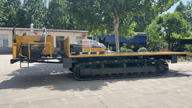 20-Tonnen-Kettentr&auml;ger-Raupenketten-Flachtransporter-LKW-Kipper